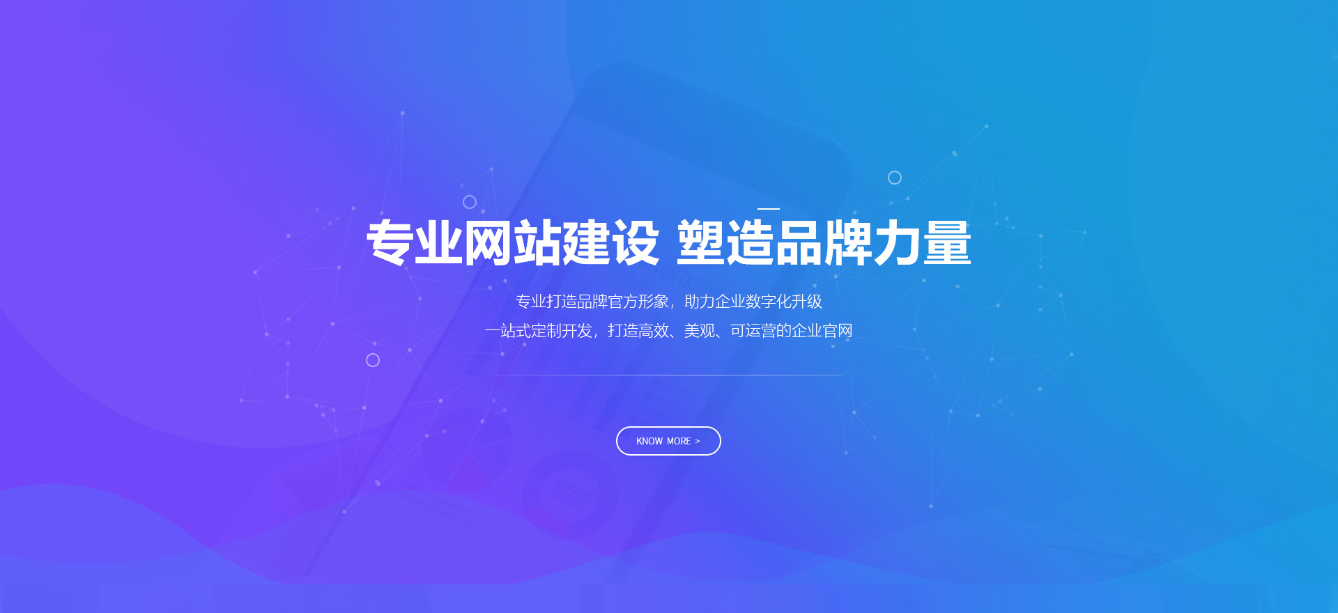 叶县建站-专业网站建设 塑造品牌力量