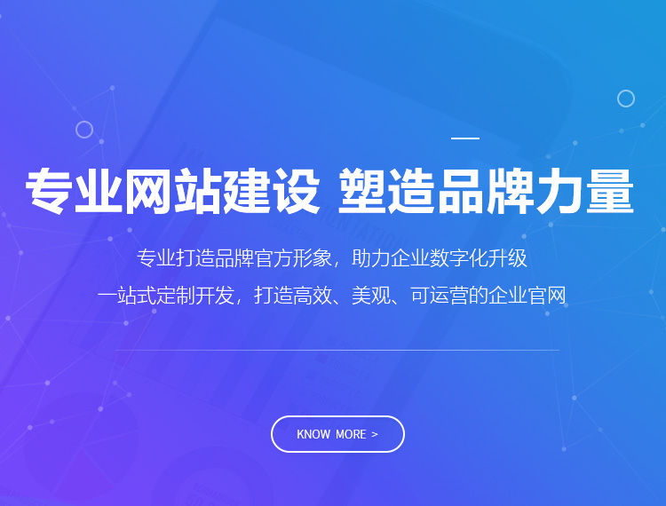 叶县建站-专业网站建设 塑造品牌力量